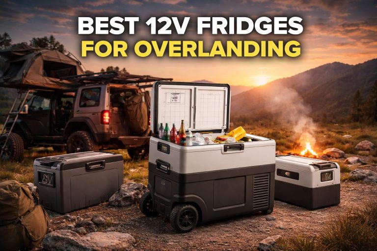 Best 12V Fridges for Overlanding